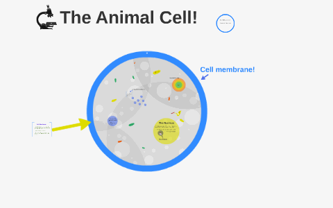 The Animal Cell! by Cole Jones