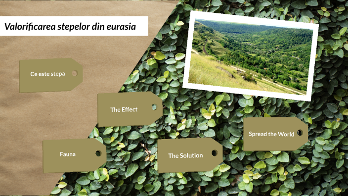 Valorificarea stepelor din eurasia by Spînu Alexandru on Prezi