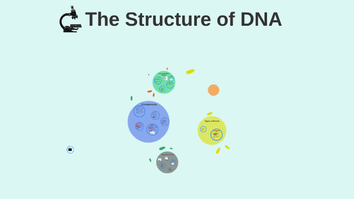 Old The Structure of DNA by Divya Sethi on Prezi