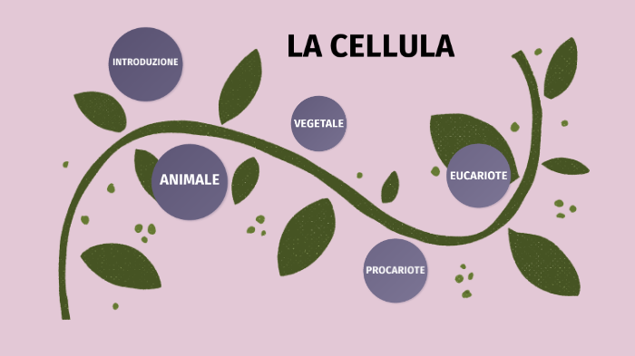 CELLULA by Tommaso Grippa on Prezi