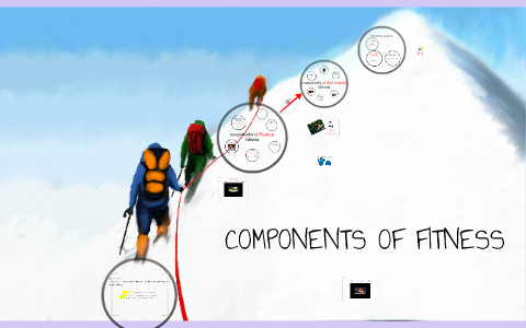 COMPONENTS OF FITNESS GCSE PE By Anna Griffin   Sg7oqep7kpniexws43octlsokh6jc3sachvcdoaizecfr3dnitcq 3 0 