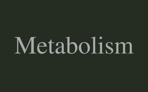 Metabolism by bryson lau on Prezi