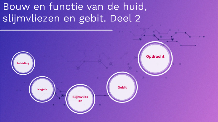 Bouw En Functie Van De Huid Slijmvliezen En Het Gebit Deel 2 By bouw-en-functie-van-de-huid-slijmvliezen-en-het-gebit-deel-2-by