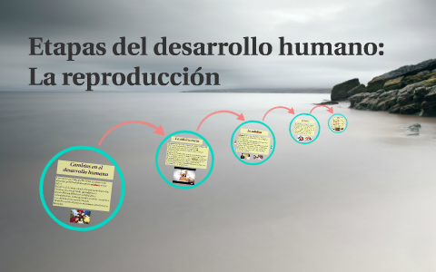 Etapas del desarrollo humano: La reproducción by Hanny Ortega on Prezi