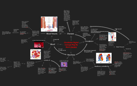 Circulation Digital Concept Map By Kevin by Kevin Carriere on Prezi