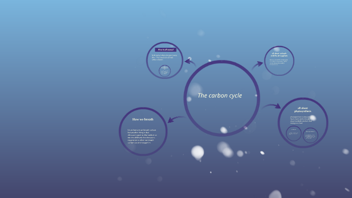 the carbon cycle by Olivia Shirk on Prezi