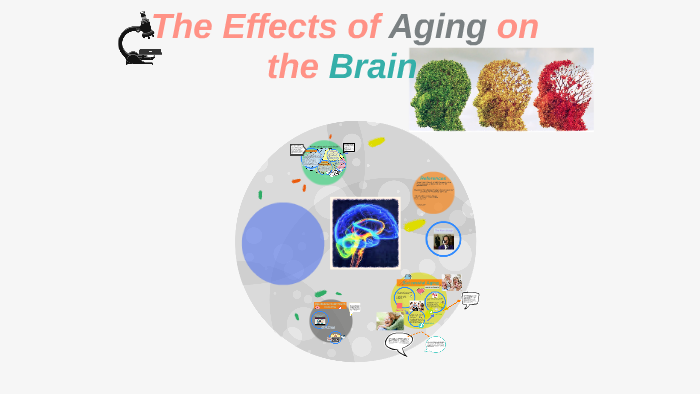 The Effects of Aging on the Brain by Julie Jordan on Prezi