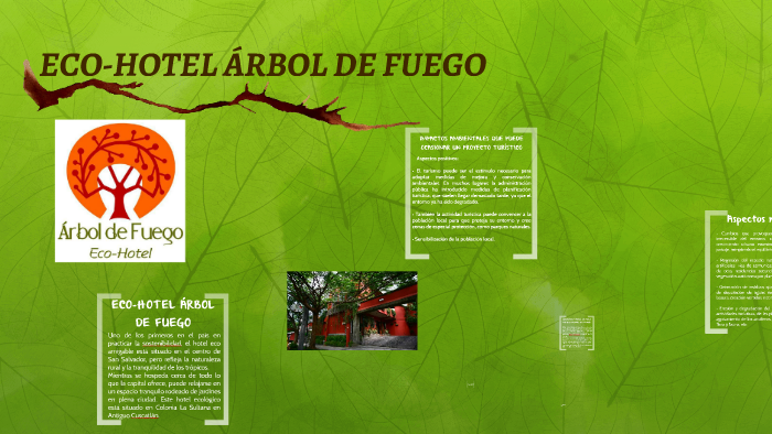 árbol De Fuego Libro