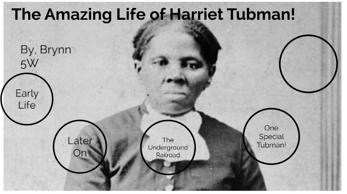 The Amazing Life Of Harriet Tubman By Brynn Fritz