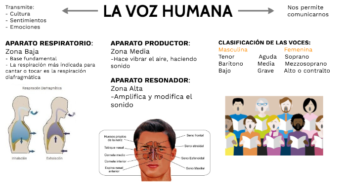 Mapa conceptual by Elena Ramiro Reyes on Prezi