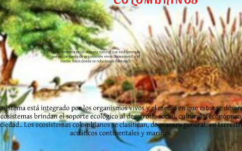 ECOSISTEMAS by khrisleydis tamara on Prezi