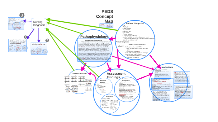 PEDS Concept Map by Mariah McGriff on Prezi