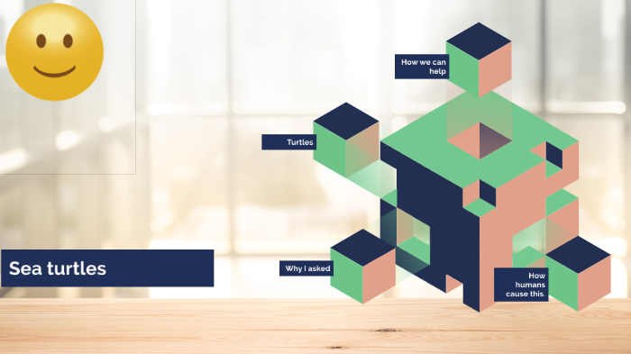 Sea turtles by Polly Wilson on Prezi