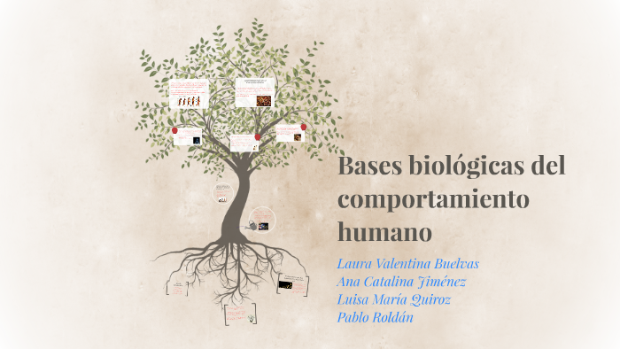 Bases Biológicas Del Comportamiento Humano By Lu M. Quiroz On Prezi