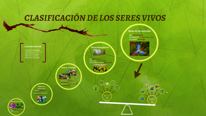 CLASIFICACIÓN DE LOS SERES VIVOS by Liliana Poyatos on Prezi