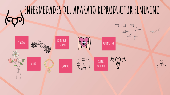 10 Enfermedades Del Sistema Reproductor Femenino prezi.com