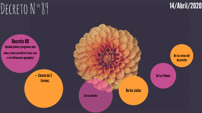 Decreto 89 by luz zuñiga on Prezi