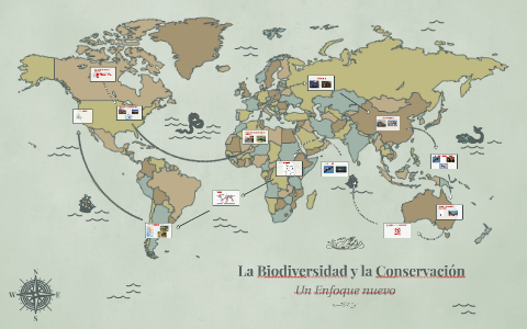 Biodiversidad y la Conservación by Cameron Riach