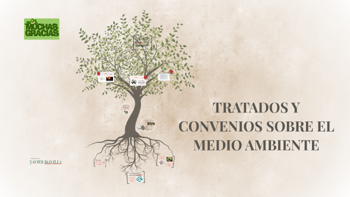 TRATADOS Y CONVENIOS SOBRE EL MEDIO AMBIENTE by javier bonilla on Prezi