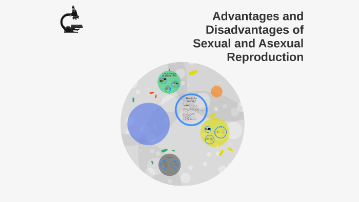 Advantages And Disadvantages Of Sexual And Asexual Reproduct By Valerie