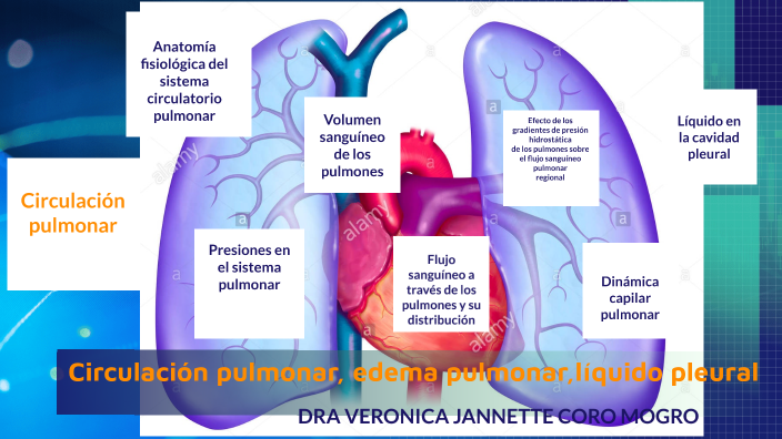 Circulación pulmonar, edema pulmonar, líquido pleural by Veronica ...