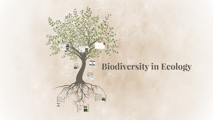 Biodiversity in Ecology by Kevin Goodenough