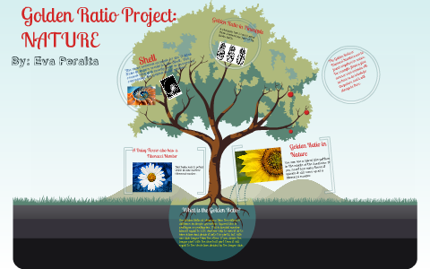 The Golden Ratio Project by Eva Peralta on Prezi