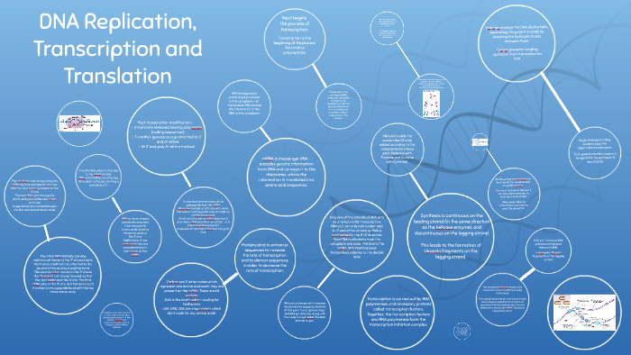 DNA replication, Transcription and Translation by Neha Niranjan on Prezi