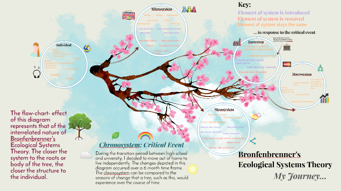 ecological system theory