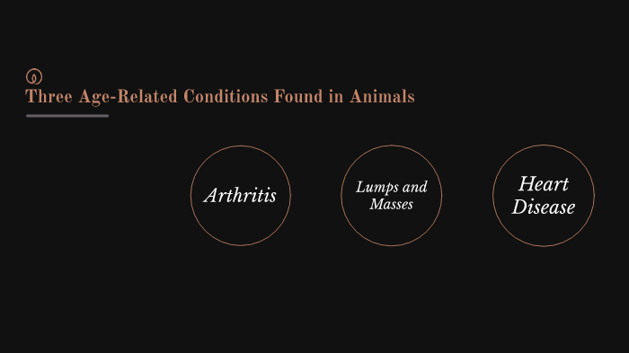 animal age related conditions