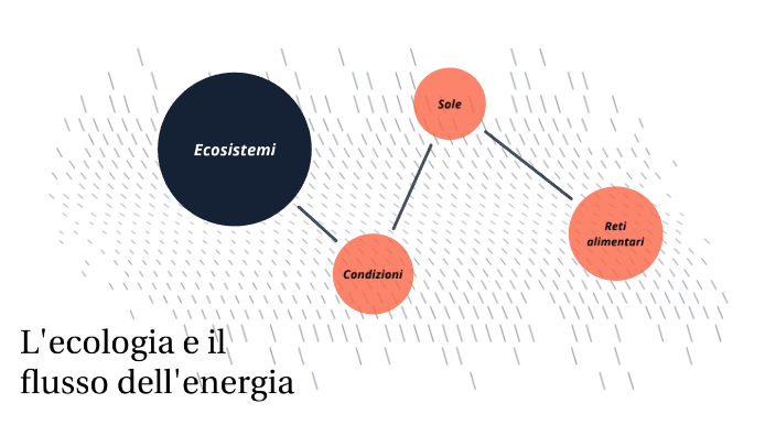 L'ecologia e il flusso dell'energia by Caterina Capelli on Prezi