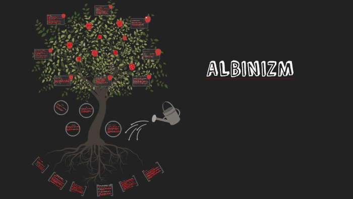 Albinizm By Melike Ertug On Prezi Next