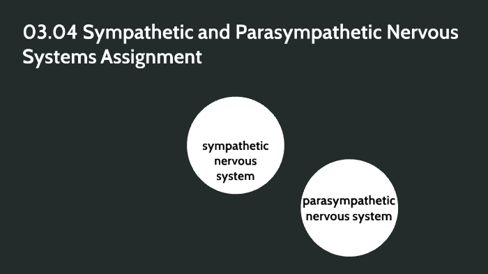 03.04 Sympathetic and Parasympathetic Nervous Systems Assignment by ...