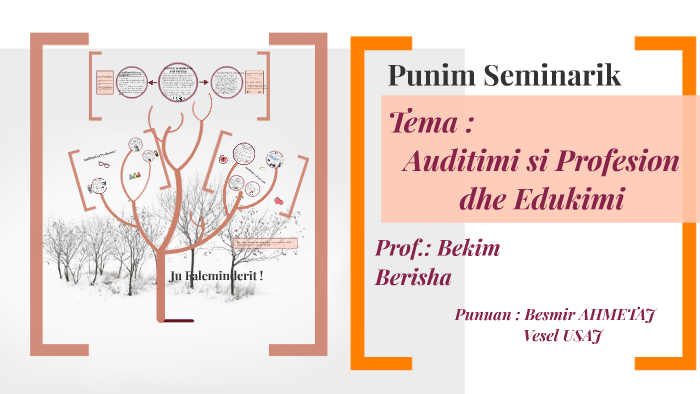Auditimi si Profesion dhe Edukim by Besmir Ahmetaj on Prezi