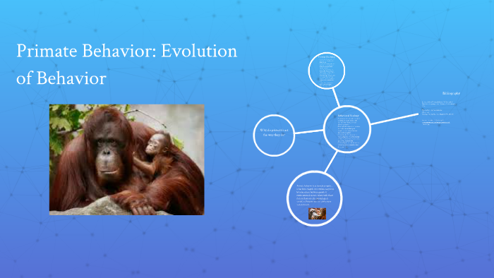 The Role of Animal Behavior in Shaping Evolution - Featured Image
