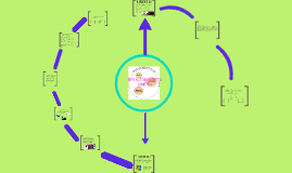 Relacion Sujeto Objeto By Steven Garcia