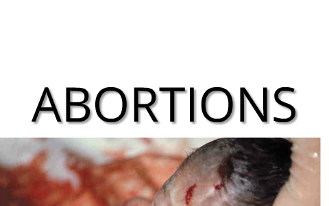 Three Types Of Abortions. by Vikky Sokoya on Prezi