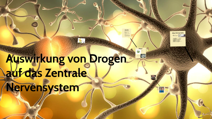 Wirkung Von Schlangengift Auf Das Nervensystem Wirkung von Drogen auf das zentrale Nervensystem by Fabian Lentes on Prezi