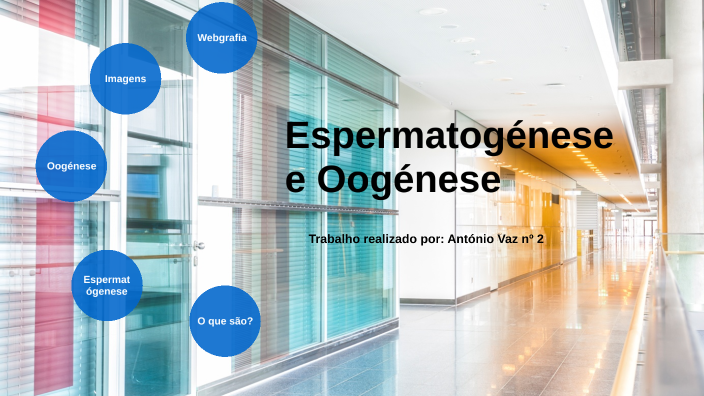 Espermatogénese E Oogénese By Antonio Luis Marques Centeio E Vaz On Prezi 7448