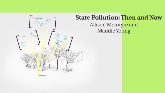 State pollution then and now by Maddie Young