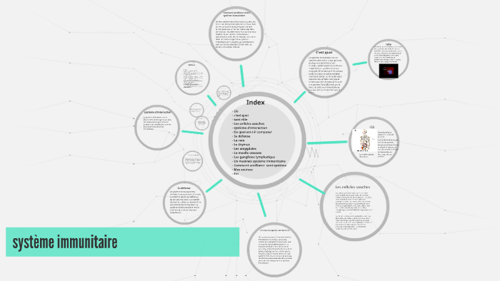 Le système immunitaire by marika thibeault on Prezi