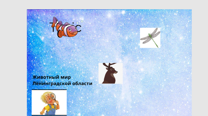 Животный и растительный мир ленинградской области презентация