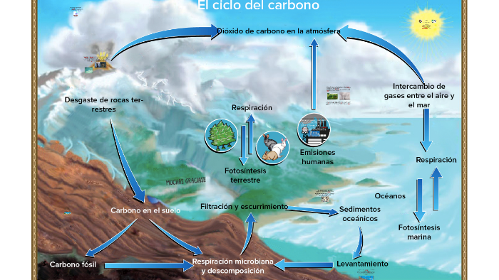 Ciclo geologico del carbono. UMSH Secc.108 2018. by Francisco Muñoz