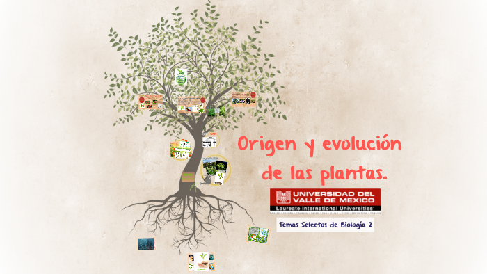 Origen y evolucion de las plantas by cristina lamas on Prezi