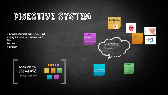 Digestive system by on Prezi