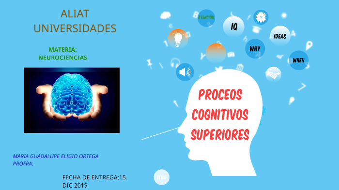 Procesos Cognitivos Superiores By Maria Guadalupe Eligio Ortega On Prezi 0158