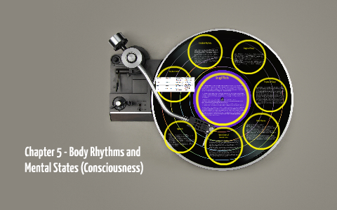 Chapter 5 Prezi Review - 005 by Kirstin Elliott on Prezi