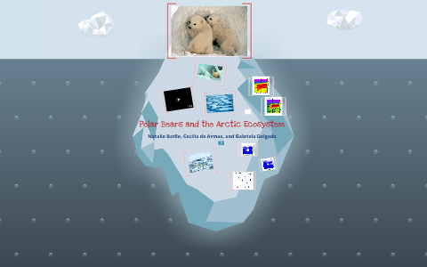 Polar Bears and the Arctic Ecosystem by Nati B on Prezi