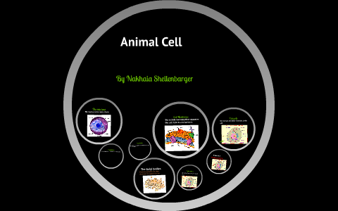 Animal Cell by on Prezi