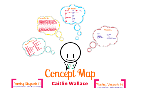 Care Plan Concept Map By Caitlin Wallace